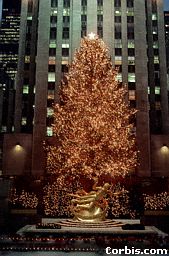 RC X'mas Tree